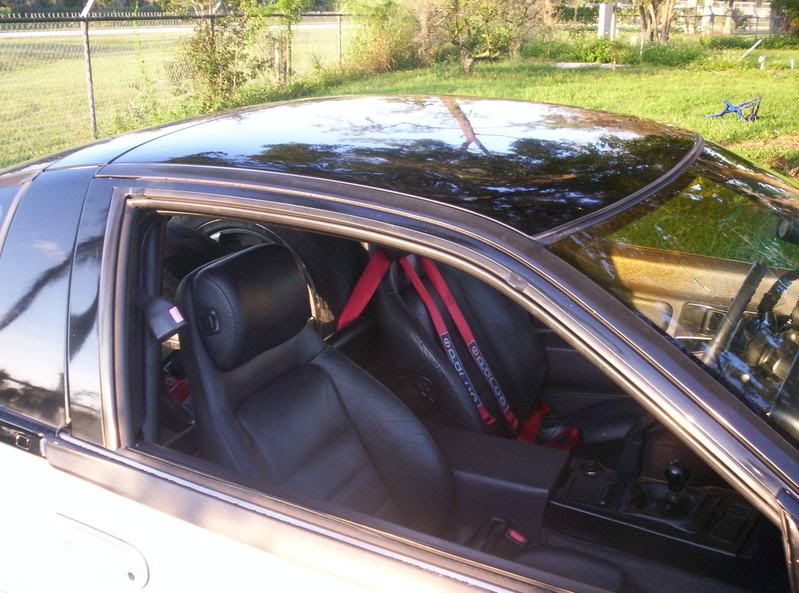 Rides279.jpg