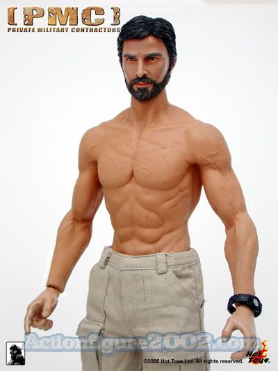 hot toys pmc