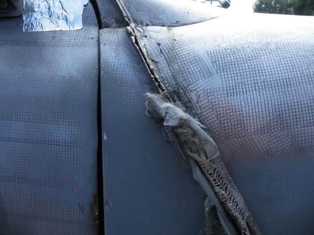 DSCF5172.jpg