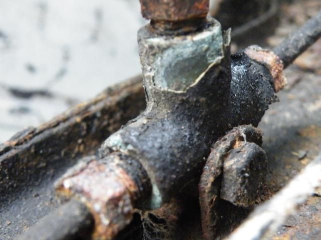 DSCF5306.jpg
