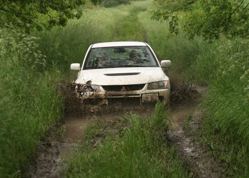 [Image: 155_5555.jpg]