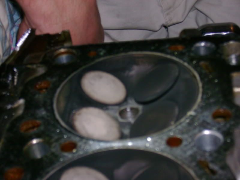 [Image: DSC00594.jpg]
