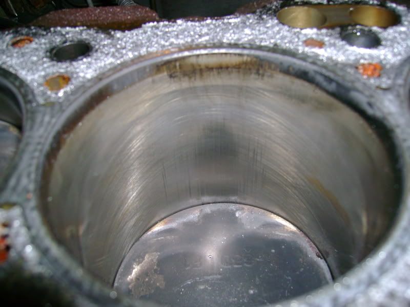 [Image: DSC00598.jpg]