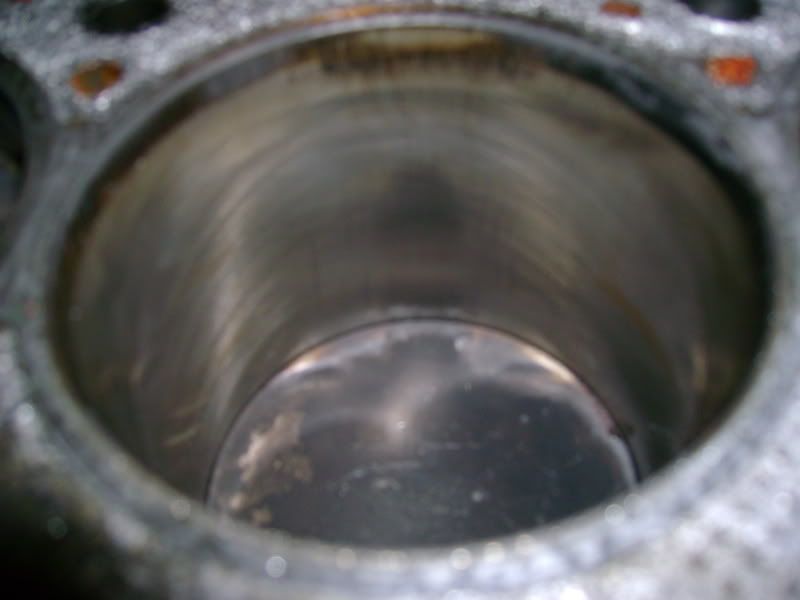 [Image: DSC00599.jpg]