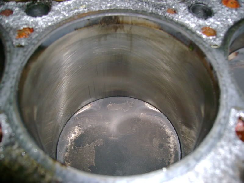 [Image: DSC00600.jpg]