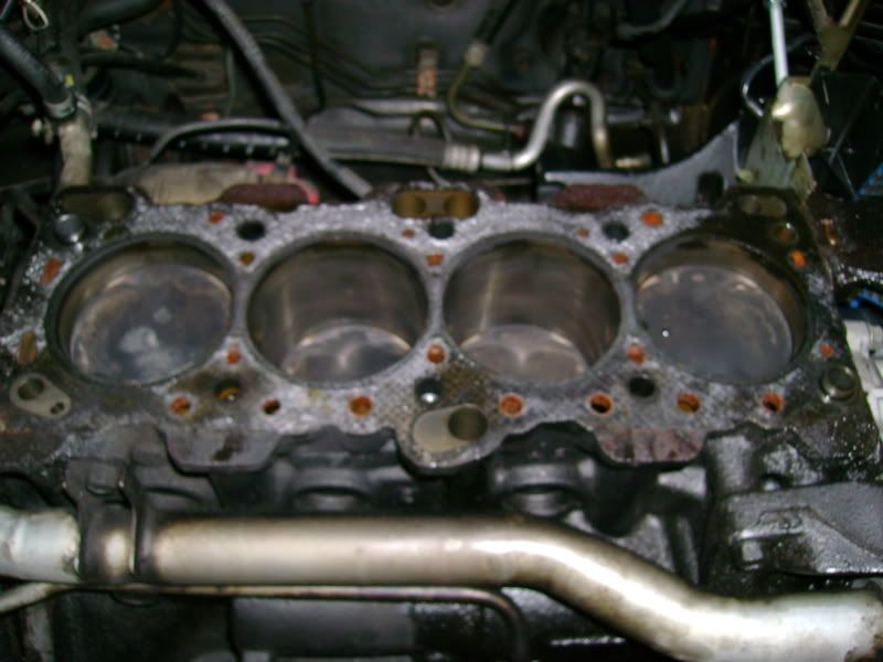 [Image: DSC00602.jpg]