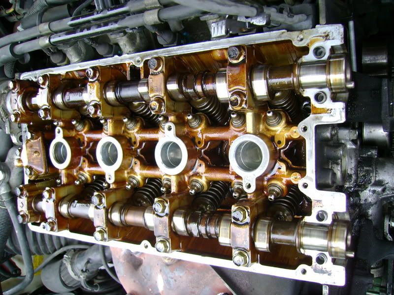 [Image: DSC00708.jpg]