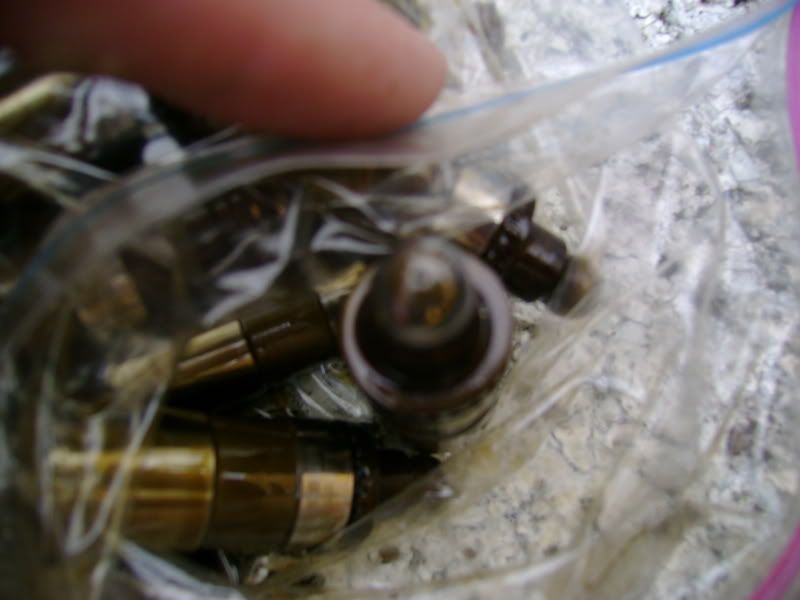 [Image: DSC00712.jpg]