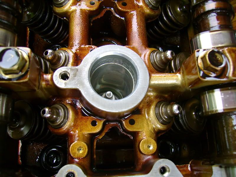 [Image: DSC00715.jpg]