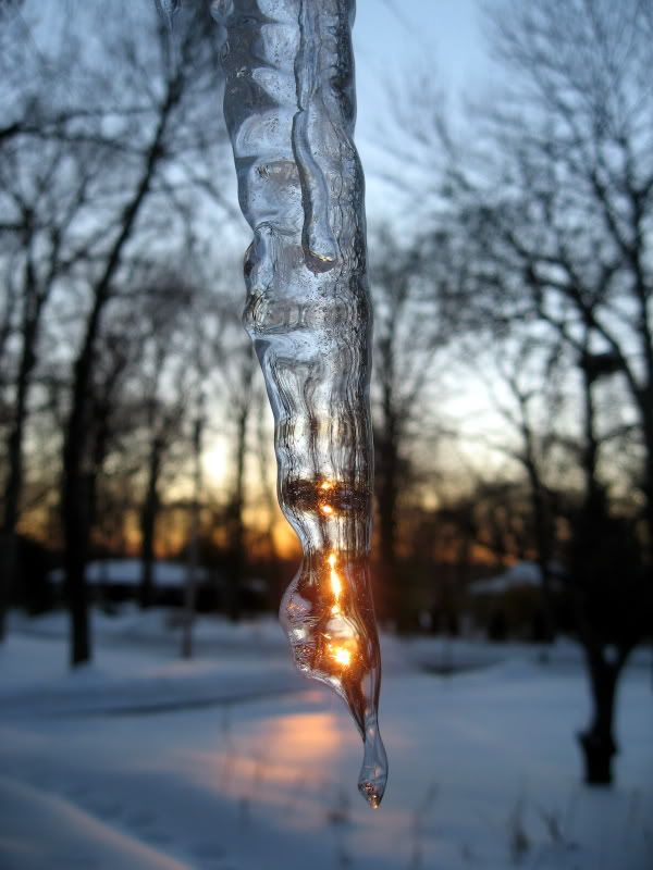 sunrise, sunset. so it goes.