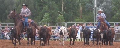 Picton Rodeo