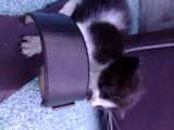 Image hosted by Photobucket.com