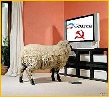 Obama_sheep.jpg