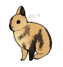 Kuva