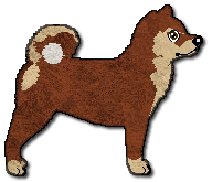 Kuva