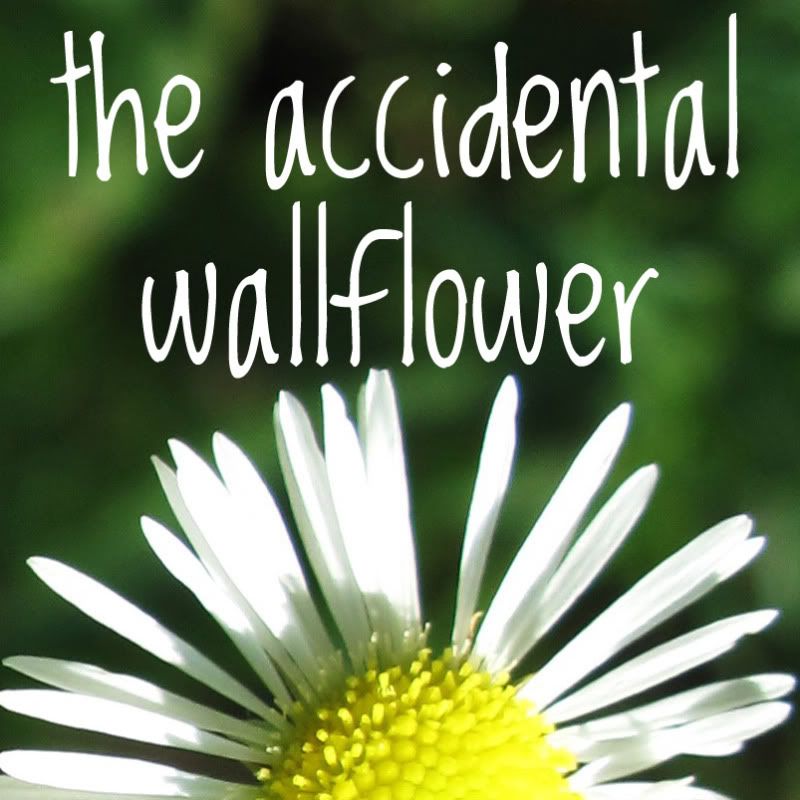 TheAccidentalWallflower.com