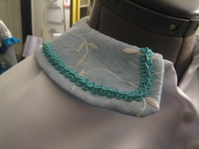 close-up of the collar