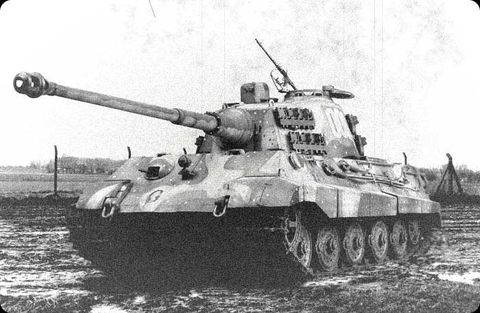 tiger008a.jpg