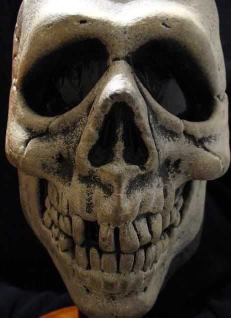 [Image: skull2.jpg]