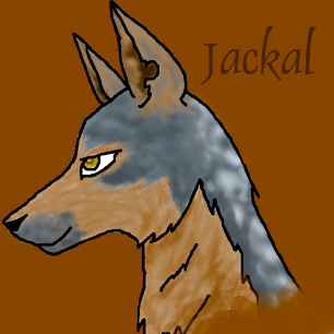 Jackal Avatar