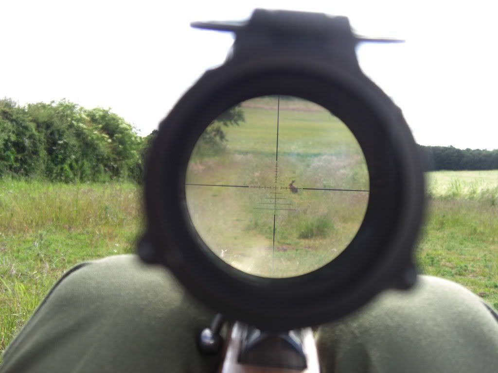 CIMG1047.jpg