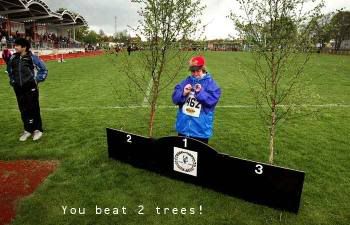 beat2trees.jpg