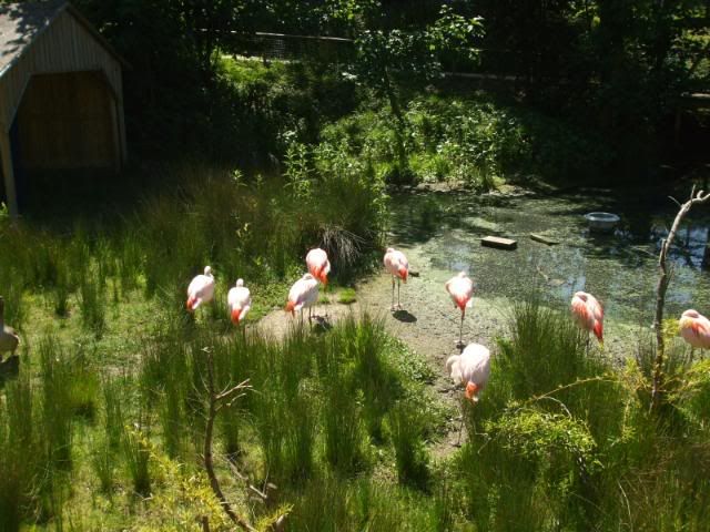 cromer zoo