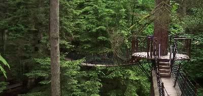 could be the coolest tree fort ever, but not yet