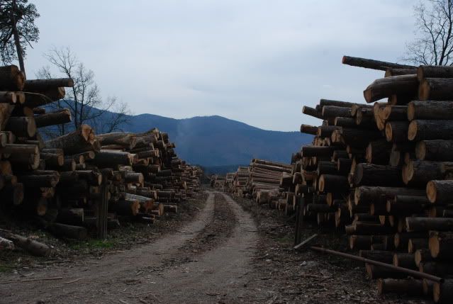 szloven31-1.jpg