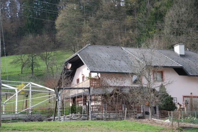 szloven51.jpg