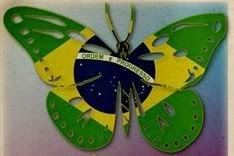 brazilian butterfly