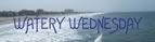 Watery Wednesday