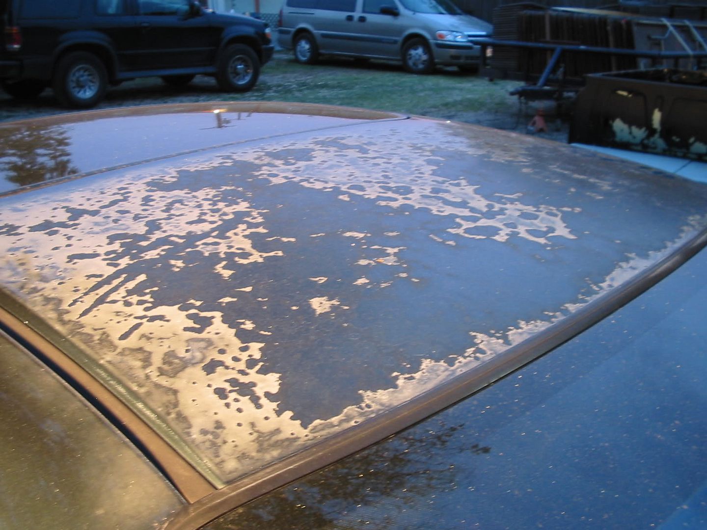fixing clear coat failure