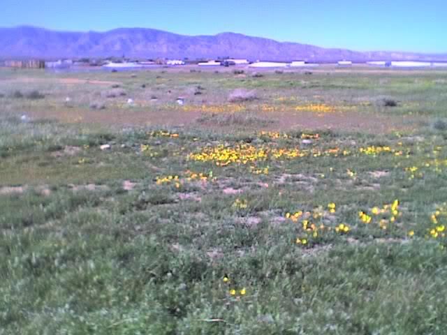 04-03-11_1613.jpg