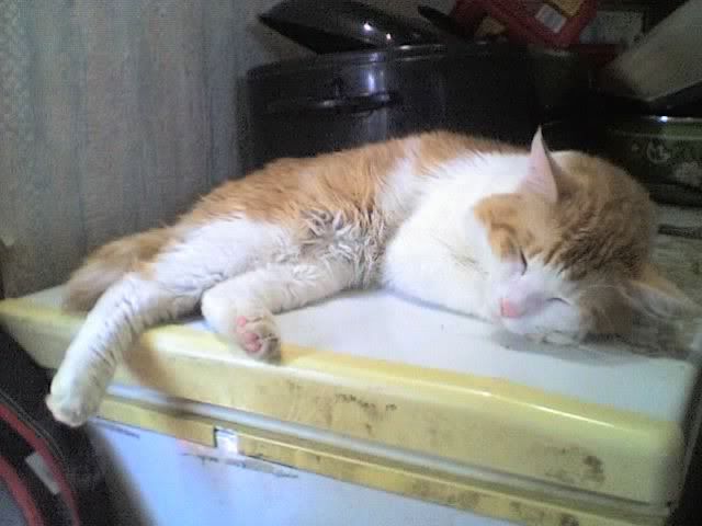 06-11-11_1029.jpg