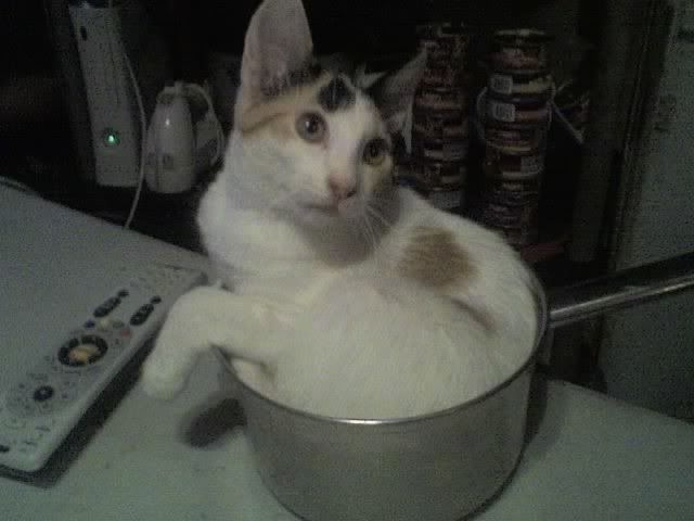 RabbitStew.jpg