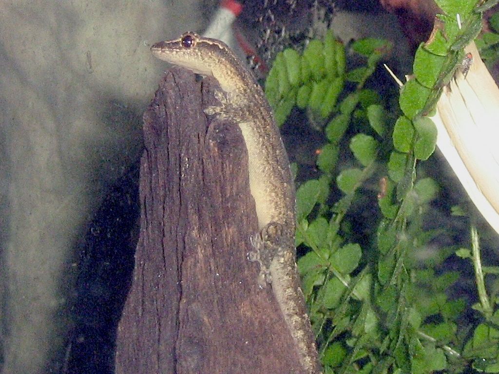 IMG_0011.jpg