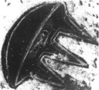 dbb24938.jpg
