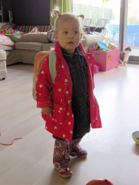 b62e3e48.jpg