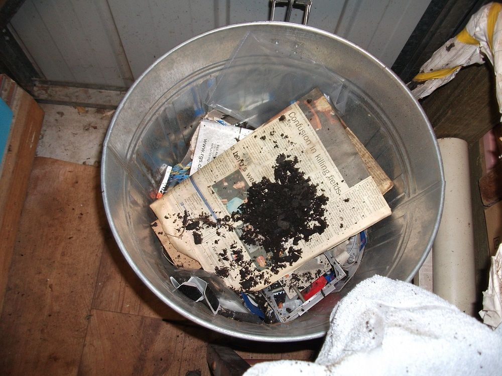 [Linked Image from i3.photobucket.com]