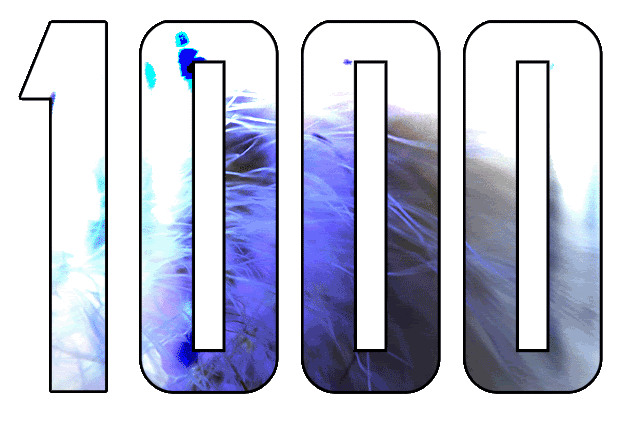 1000.gif