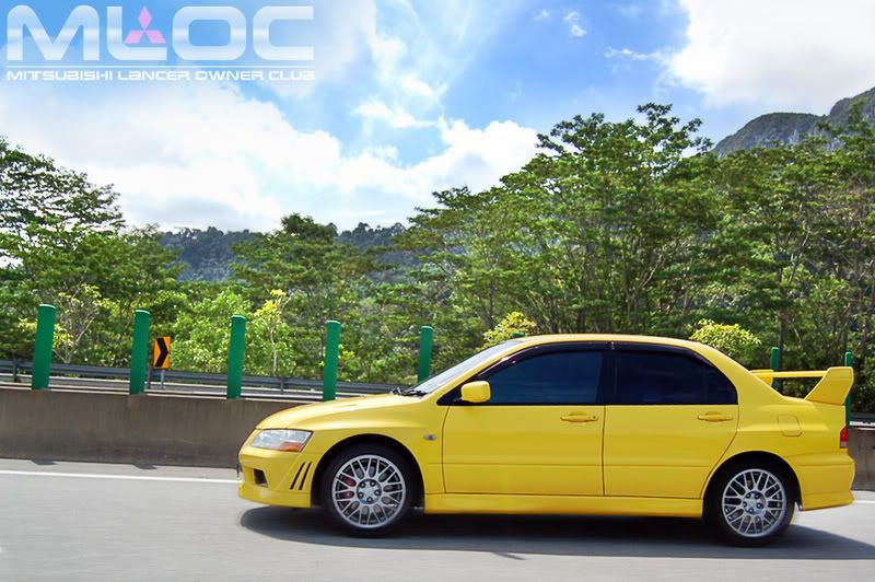 yellow_small.jpg