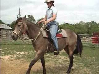 IMAGE(http://i3.photobucket.com/albums/y87/DangerRanch/Mellie_0001.jpg)