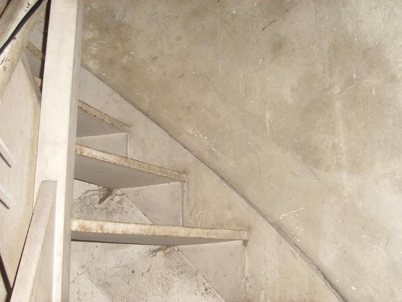STP61792.jpg