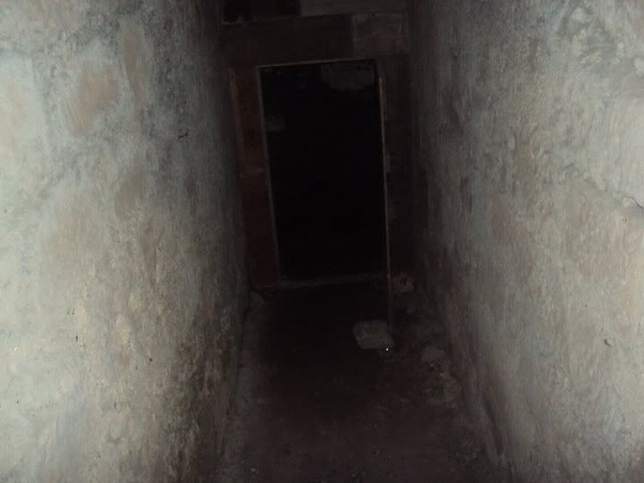 photo5.jpg