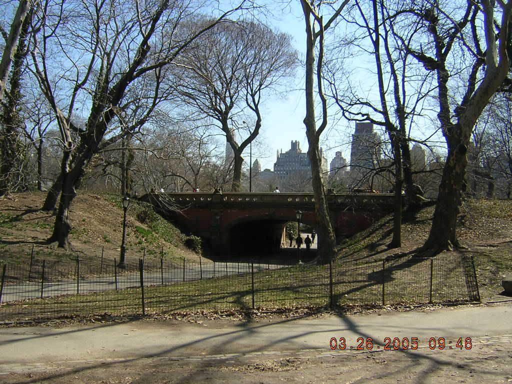 puente pelicula