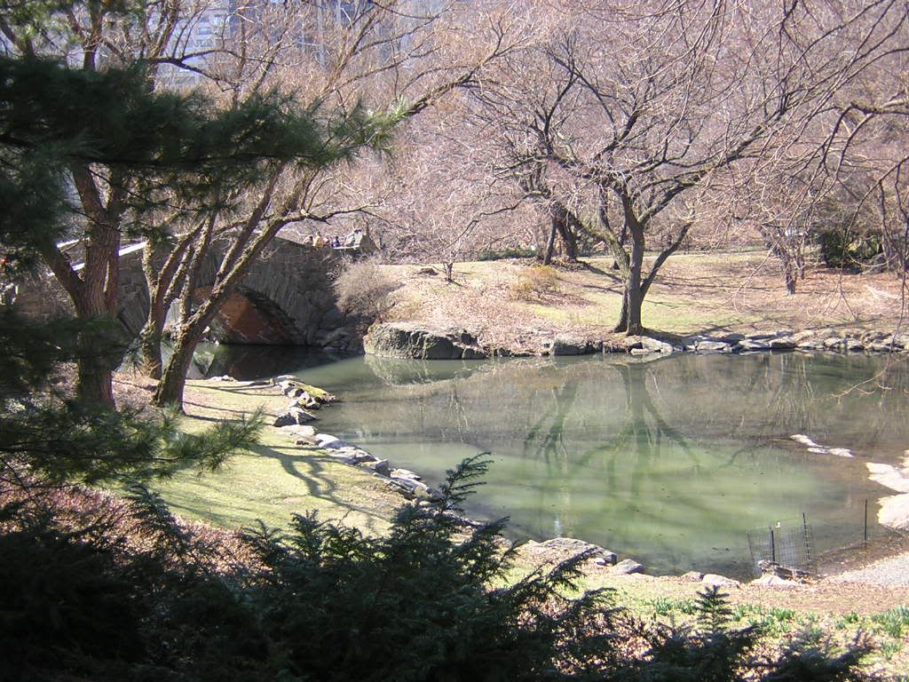 lago