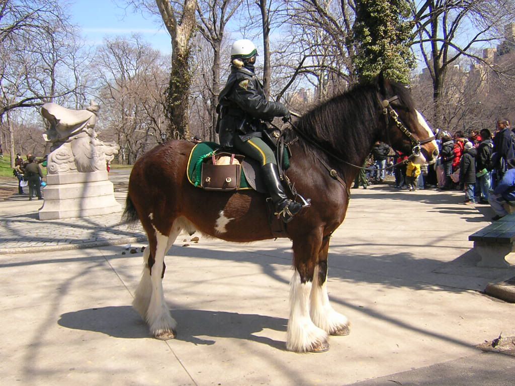 policia montada