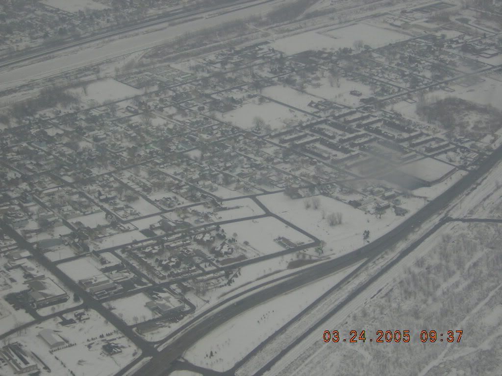 buffalo USA