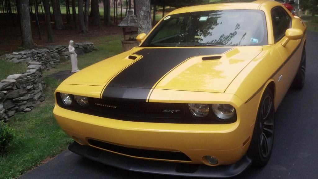 Yellow Jacket Hood Decal Dodge Challenger Forum Challenger & SRT8 Forums